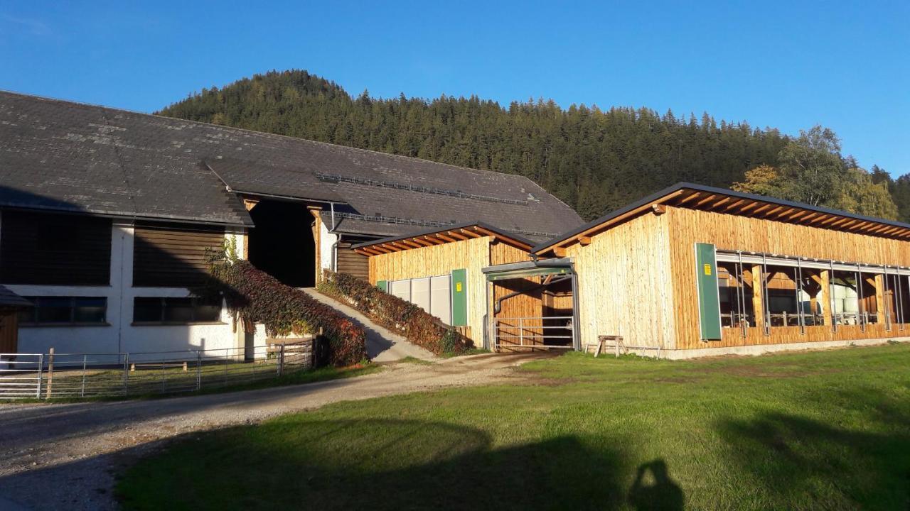 Schusterbauernhof Apartment Bad Mitterndorf Exterior foto